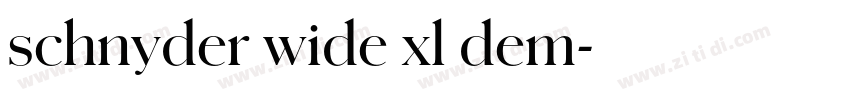 schnyder wide xl dem字体转换